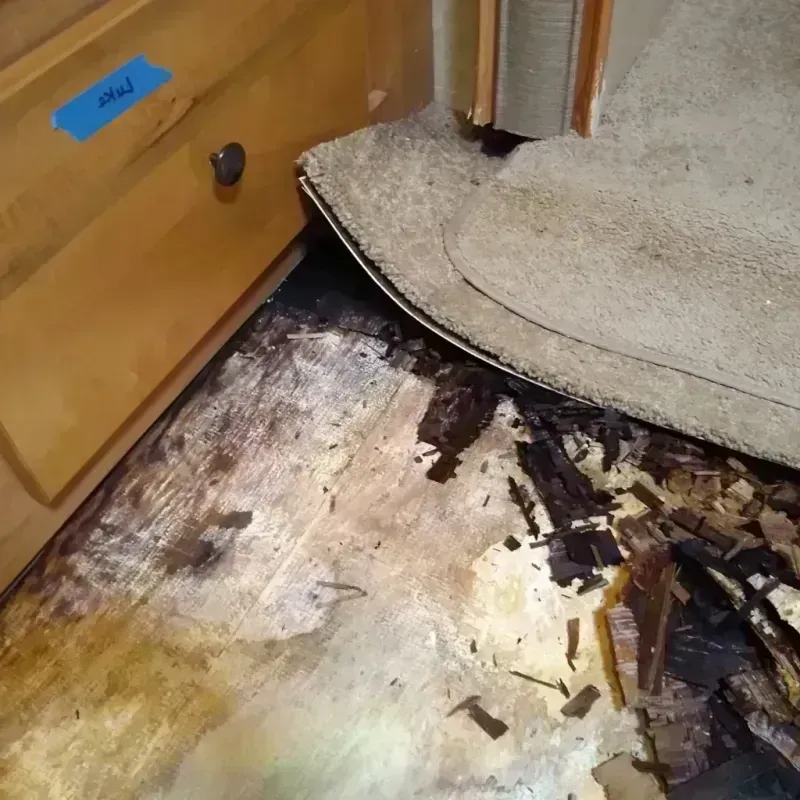 Wood Floor Water Damage in Lake Helen, FL